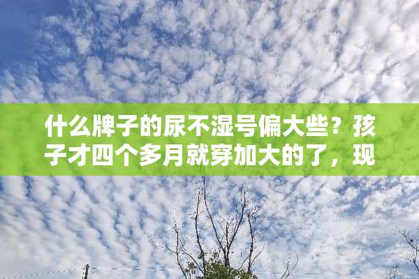 什么牌子的尿不湿号偏大些？孩子才四个多月就穿加大的了，现在加大的都小了？