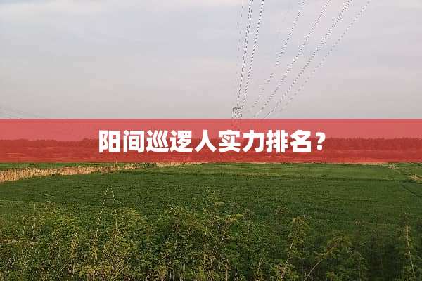 阳间巡逻人实力排名？