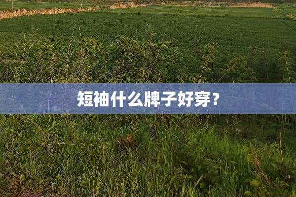 短袖什么牌子好穿？