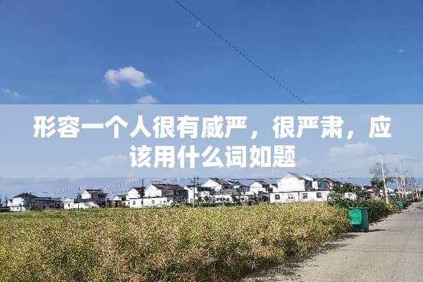 形容一个人很有威严，很严肃，应该用什么词如题