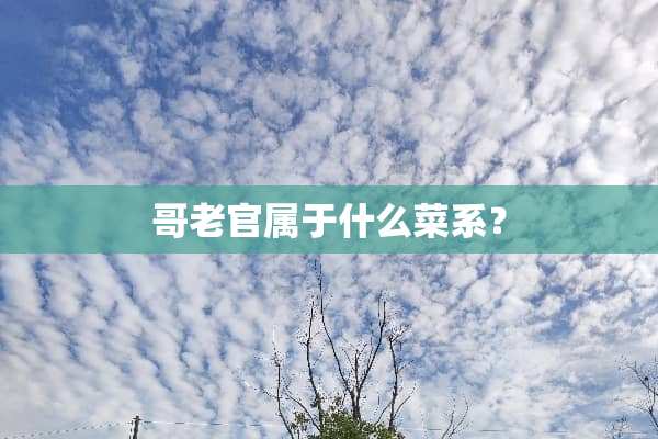 哥老官属于什么菜系？
