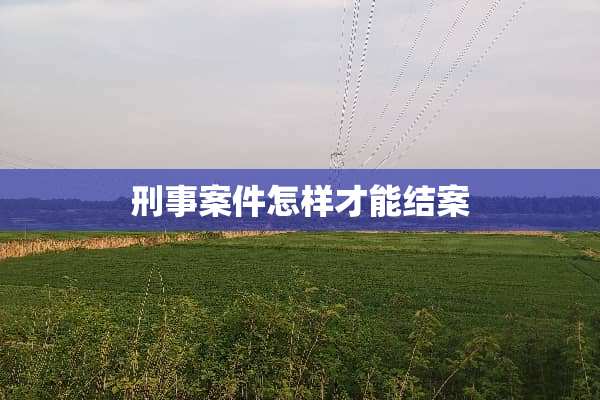 刑事案件怎样才能结案