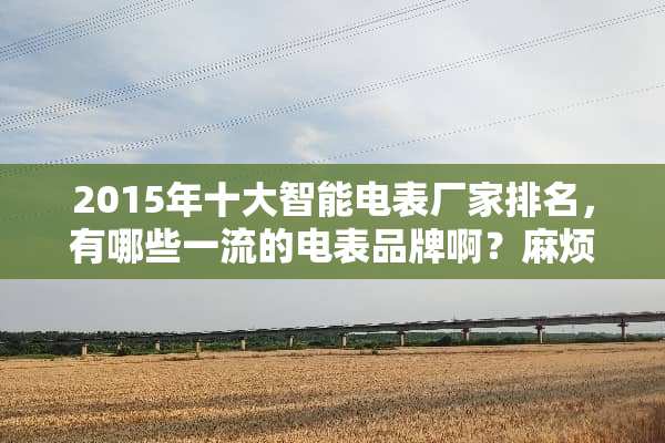 2015年十大智能电表厂家排名，有哪些一流的电表品牌啊？麻烦介绍下？