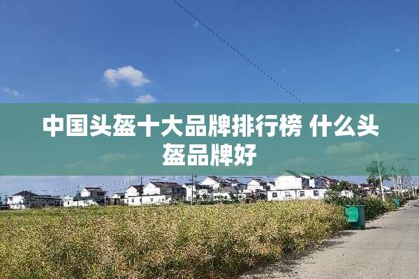 中国头盔十大品牌排行榜 什么头盔品牌好
