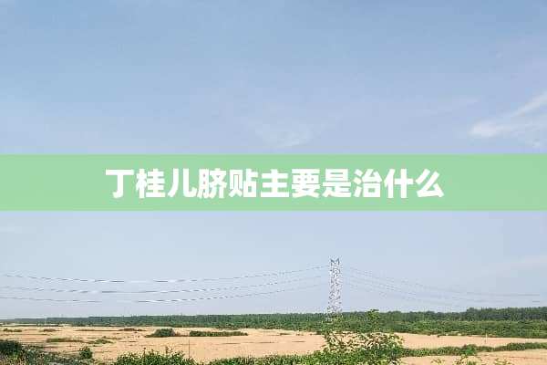 丁桂儿脐贴主要是治什么