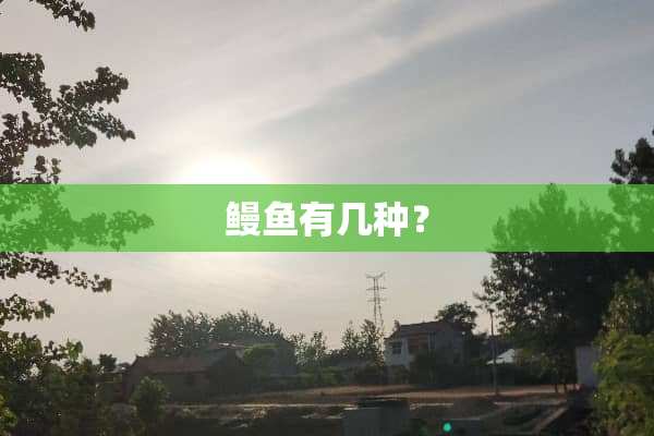 鳗鱼有几种？