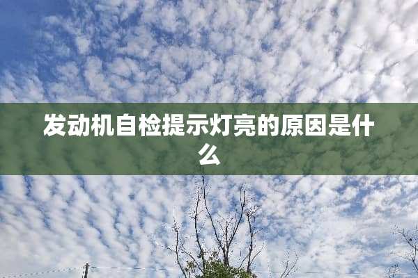 发动机自检提示灯亮的原因是什么