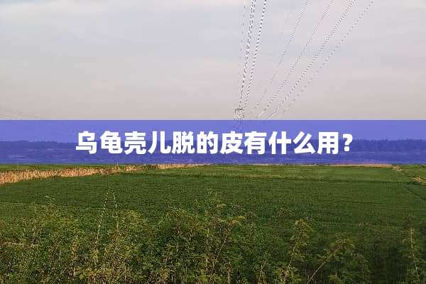 乌龟壳儿脱的皮有什么用？