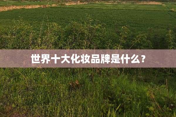 世界十大化妆品牌是什么？