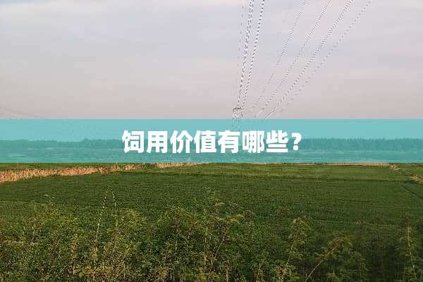 饲用价值有哪些？