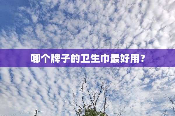 哪个牌子的卫生巾最好用？