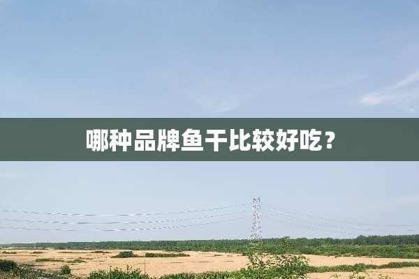 哪种品牌鱼干比较好吃？