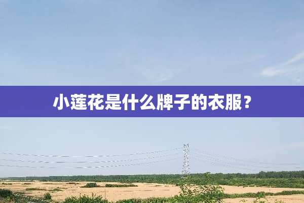 小莲花是什么牌子的衣服？