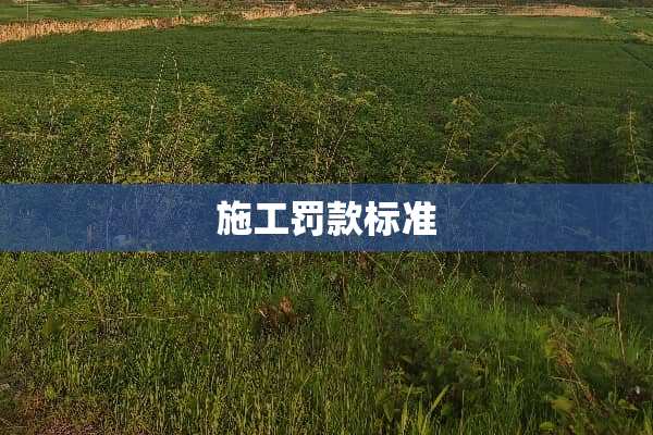 施工罚款标准