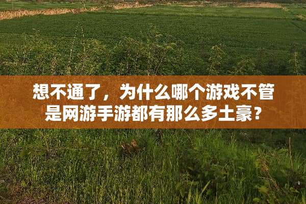 想不通了，为什么哪个游戏不管是网游手游都有那么多土豪？