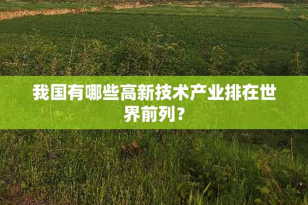 我国有哪些高新技术产业排在世界前列？