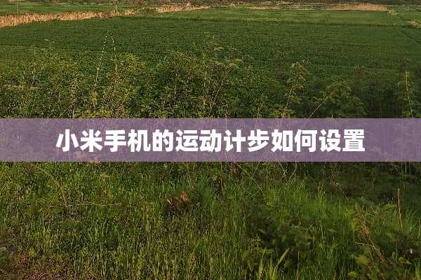 小米手机的运动计步如何设置