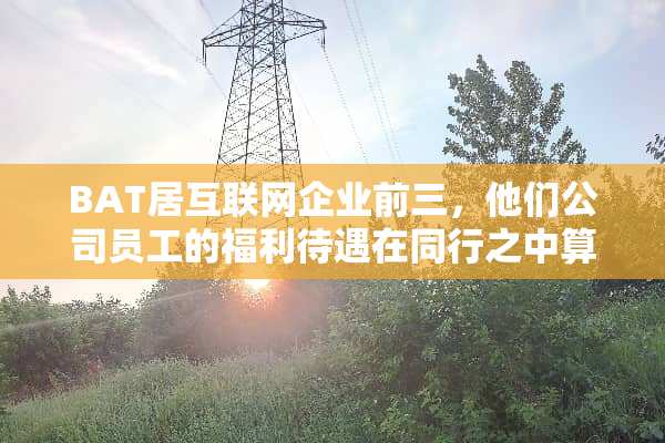 BAT居互联网企业前三，他们公司员工的福利待遇在同行之中算什么水平？