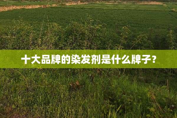 十大品牌的染发剂是什么牌子？