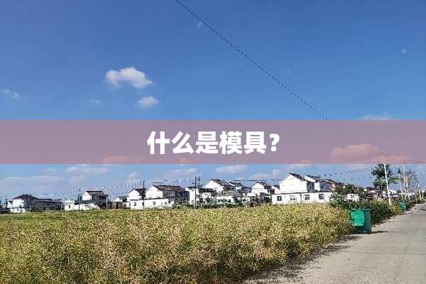 什么是模具？
