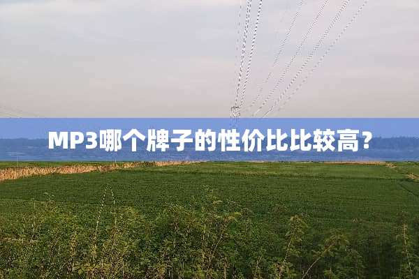 MP3哪个牌子的性价比比较高？