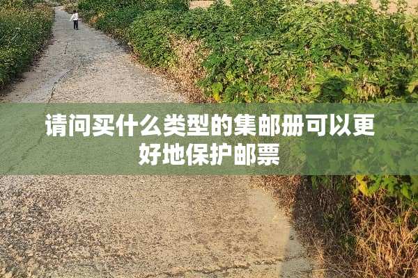 请问买什么类型的集邮册可以更好地保护邮票