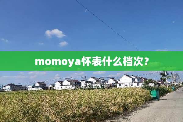 momoya怀表什么档次？