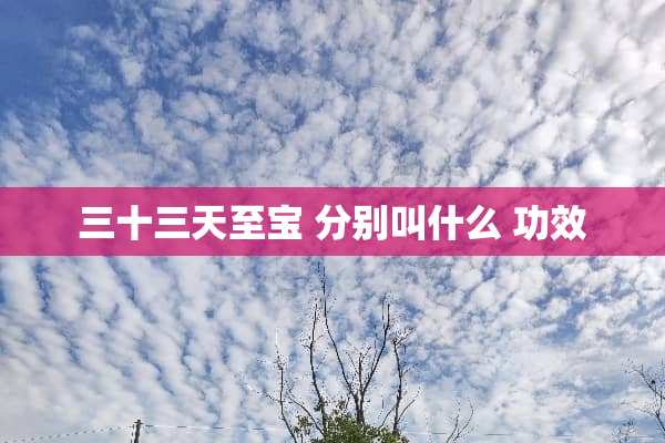 三十三天至宝 分别叫什么 功效