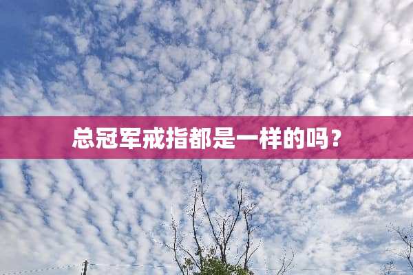 总冠军戒指都是一样的吗？