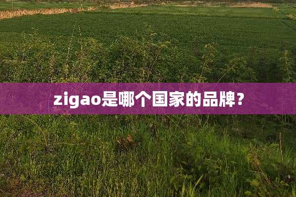 zigao是哪个国家的品牌？