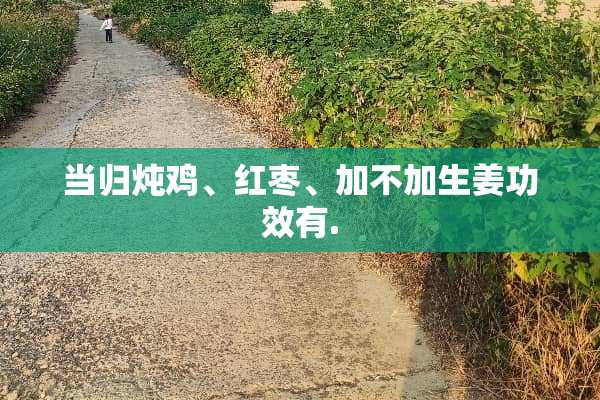 当归炖鸡、红枣、加不加生姜功效有.
