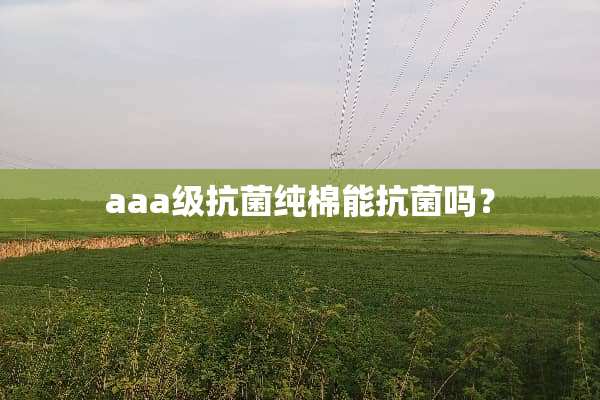 aaa级抗菌纯棉能抗菌吗？