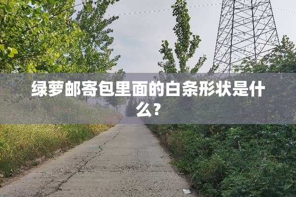 绿萝邮寄包里面的白条形状是什么？