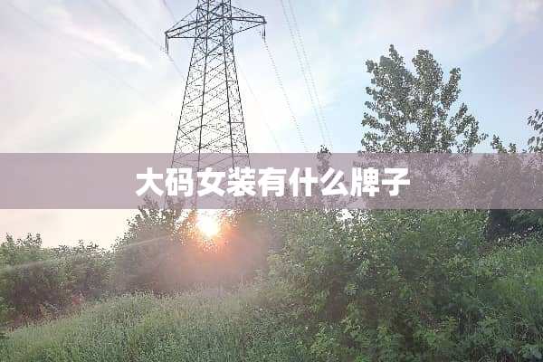 大码女装有什么牌子