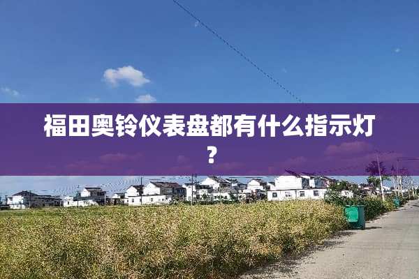福田奥铃仪表盘都有什么指示灯？