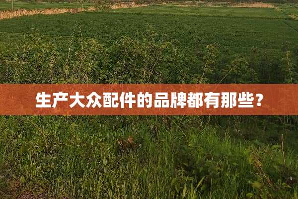 生产大众配件的品牌都有那些？