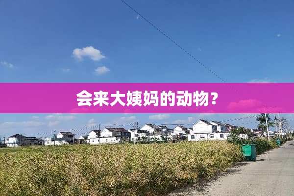 会来大姨妈的动物？