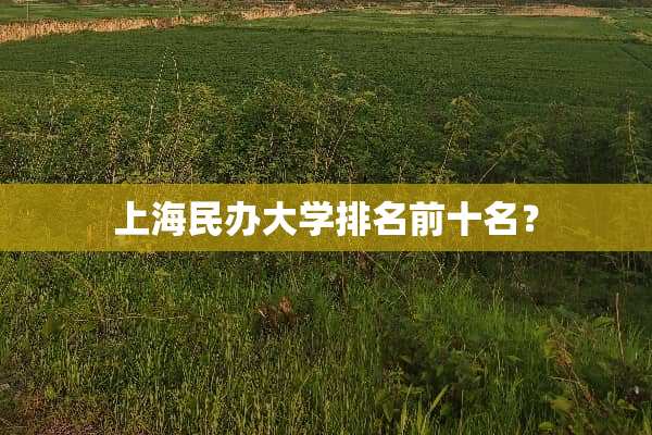上海民办大学排名前十名？
