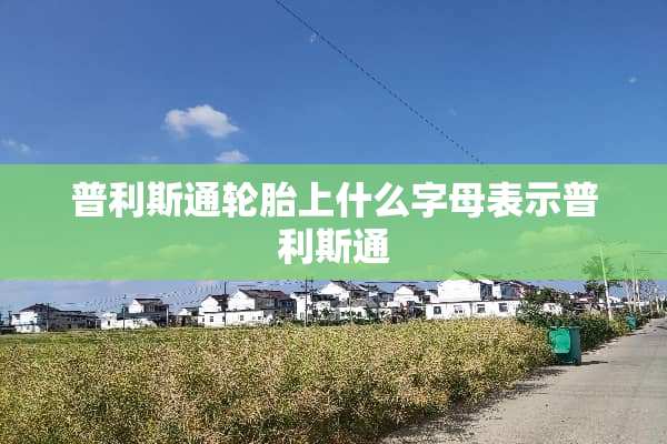 普利斯通轮胎上什么字母表示普利斯通