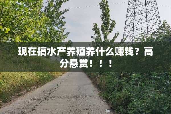 现在搞水产养殖养什么赚钱？高分悬赏！！！