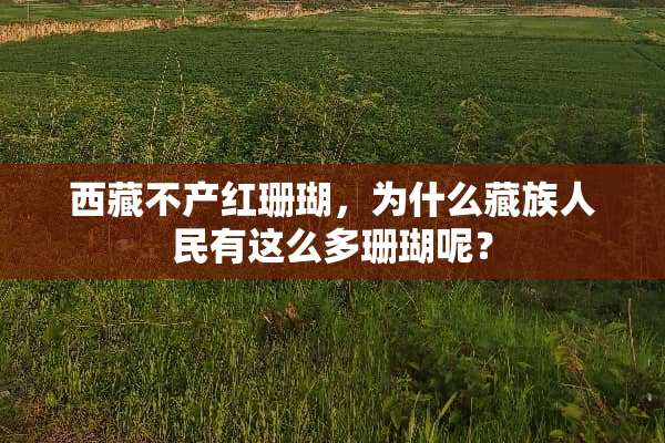 西藏不产红珊瑚，为什么藏族人民有这么多珊瑚呢？
