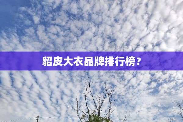貂皮大衣品牌排行榜？