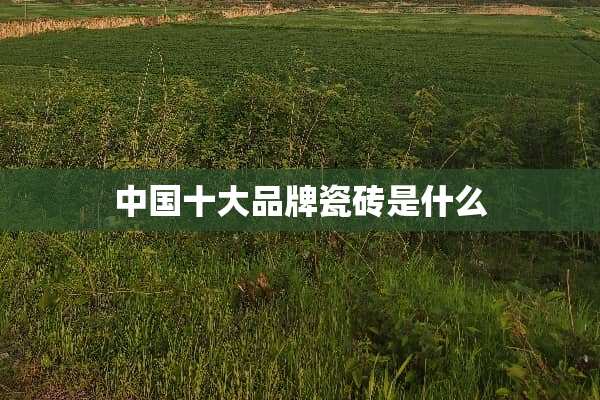 中国十大品牌瓷砖是什么
