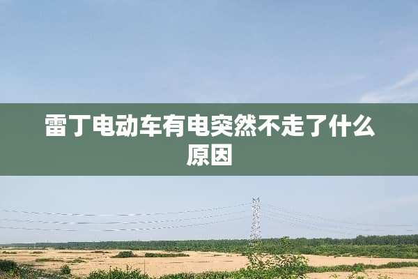 雷丁电动车有电突然不走了什么原因