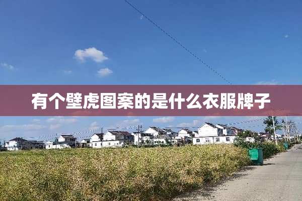 有个壁虎图案的是什么衣服牌子