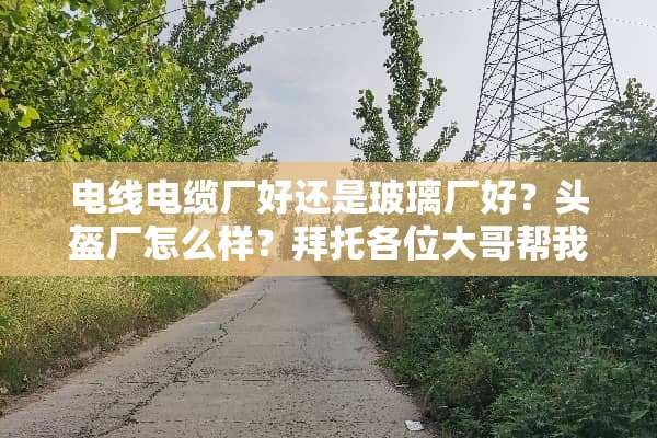 电线电缆厂好还是玻璃厂好？头盔厂怎么样？拜托各位大哥帮我了解一下。