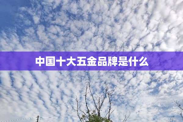 中国十大五金品牌是什么