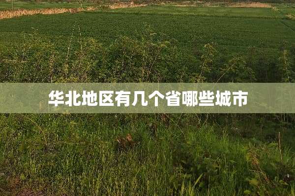 华北地区有几个省哪些城市