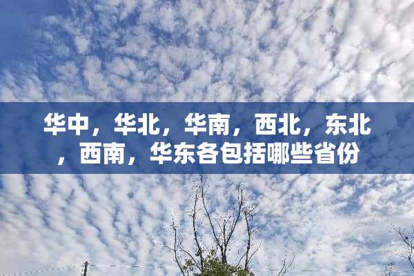 华中，华北，华南，西北，东北，西南，华东各包括哪些省份