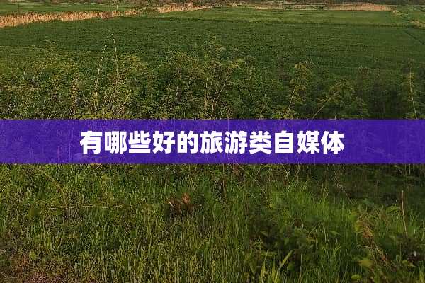 有哪些好的旅游类自媒体